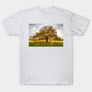 Autumn Oak T-Shirt